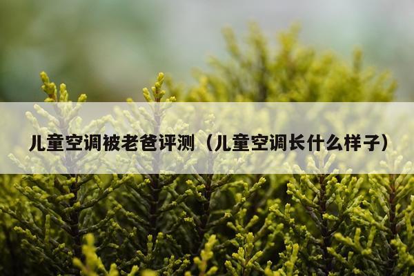 儿童空调被老爸评测（儿童空调长什么样子）