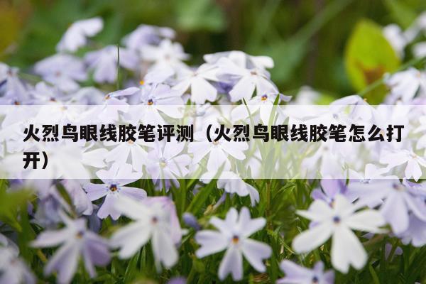 火烈鸟眼线胶笔评测（火烈鸟眼线胶笔怎么打开）