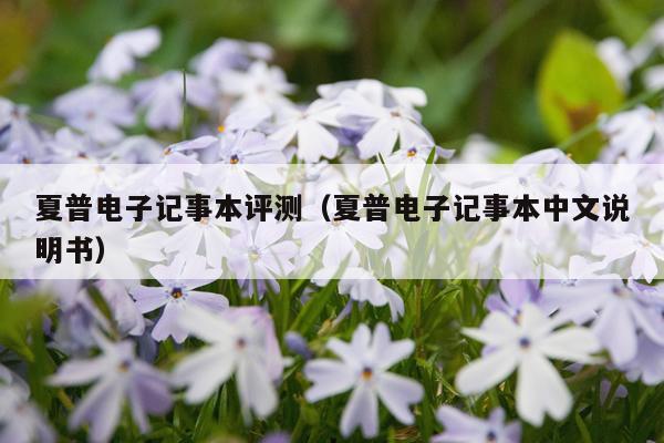 夏普电子记事本评测（夏普电子记事本中文说明书）