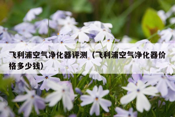 飞利浦空气净化器评测（飞利浦空气净化器价格多少钱）
