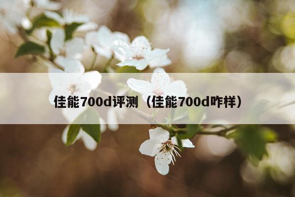 佳能700d评测（佳能700d咋样）