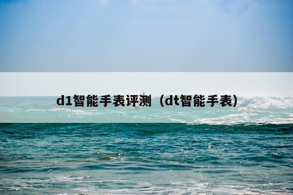 d1智能手表评测（dt智能手表）