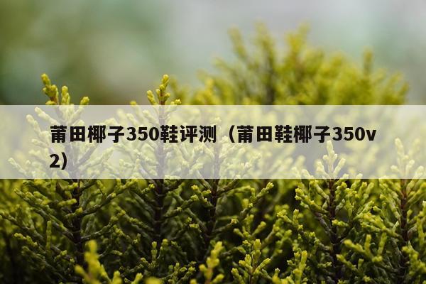 莆田椰子350鞋评测（莆田鞋椰子350v2）