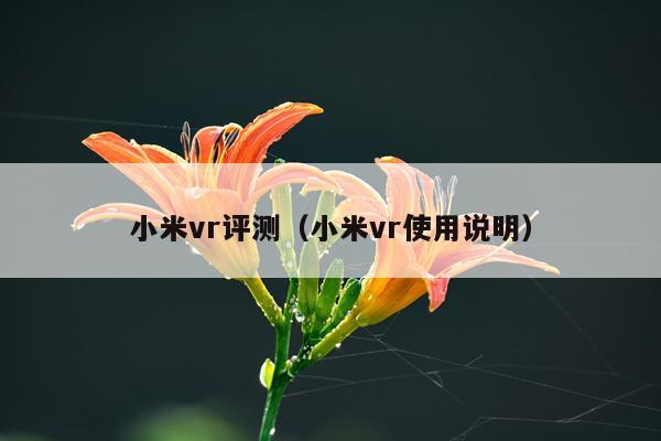 小米vr评测（小米vr使用说明）