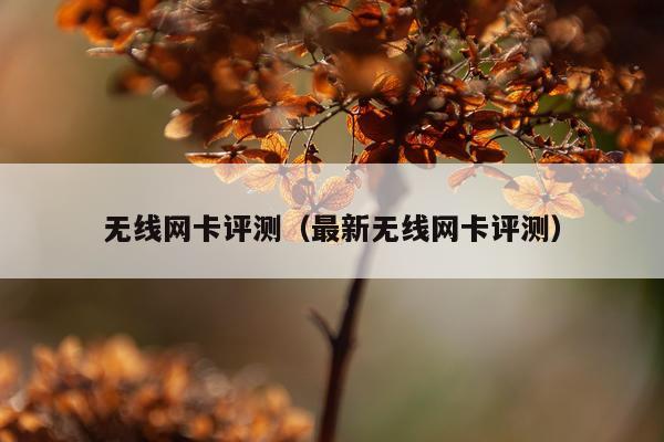无线网卡评测（最新无线网卡评测）