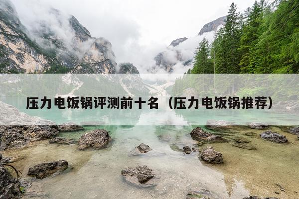 压力电饭锅评测前十名（压力电饭锅推荐）