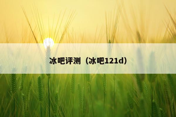冰吧评测（冰吧121d）