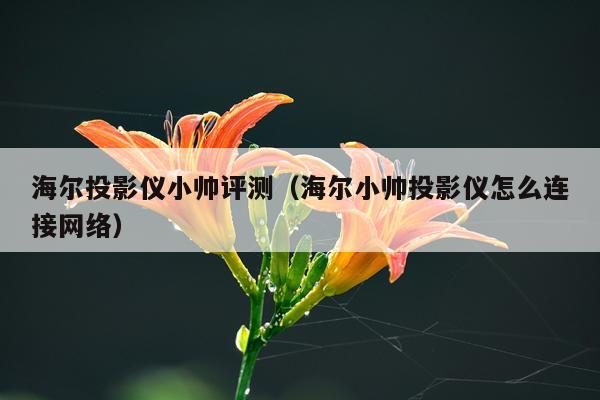 海尔投影仪小帅评测（海尔小帅投影仪怎么连接网络）