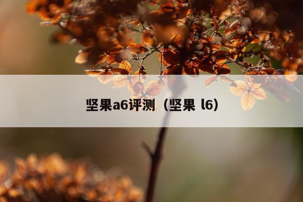 坚果a6评测（坚果 l6）