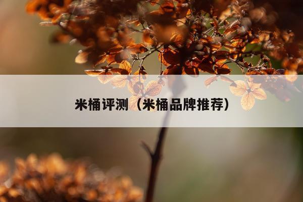 米桶评测（米桶品牌推荐）
