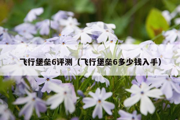 飞行堡垒6评测（飞行堡垒6多少钱入手）