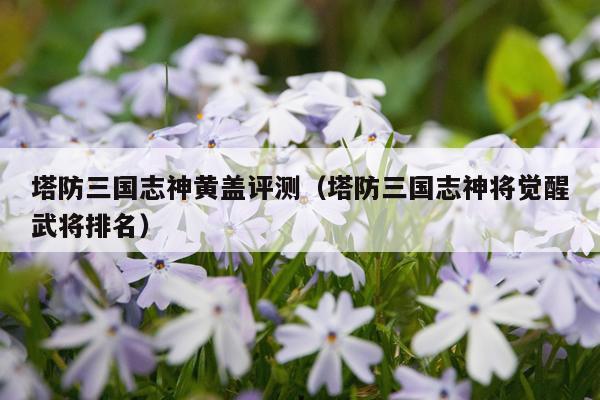 塔防三国志神黄盖评测（塔防三国志神将觉醒武将排名）