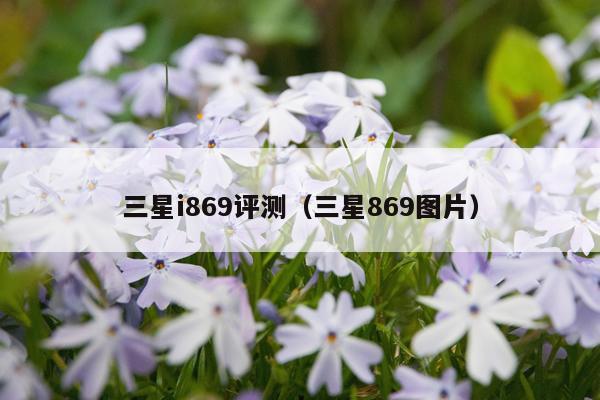 三星i869评测（三星869图片）