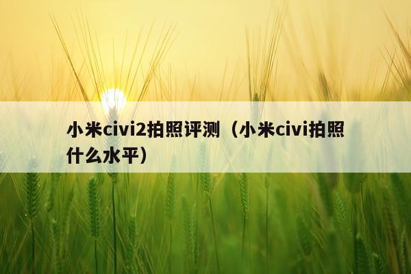 小米civi2拍照评测（小米civi拍照什么水平）