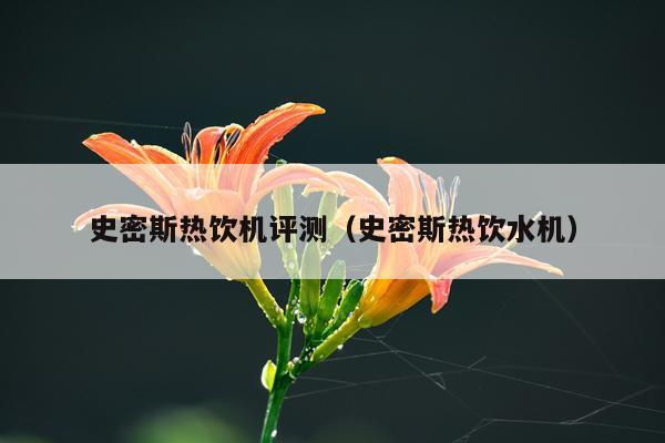 史密斯热饮机评测（史密斯热饮水机）