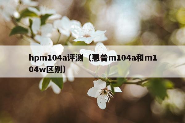 hpm104a评测（惠普m104a和m104w区别）