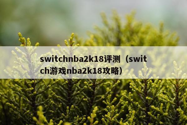 switchnba2k18评测（switch游戏nba2k18攻略）