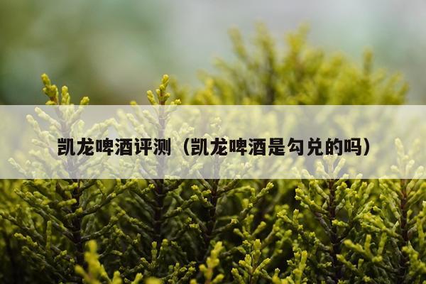 凯龙啤酒评测（凯龙啤酒是勾兑的吗）