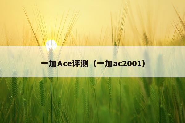 一加Ace评测（一加ac2001）