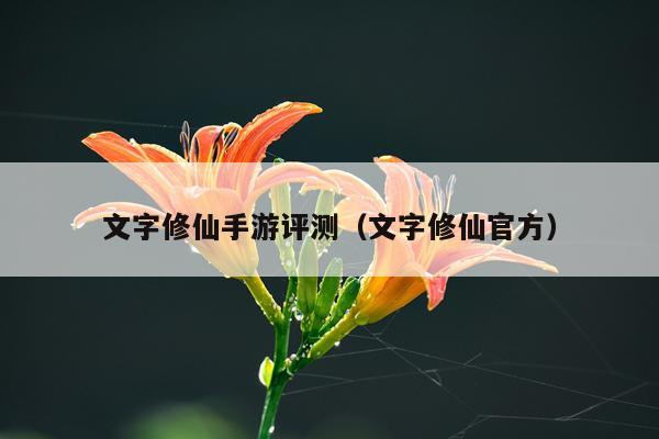 文字修仙手游评测（文字修仙官方）