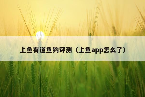 上鱼有道鱼钩评测（上鱼app怎么了）