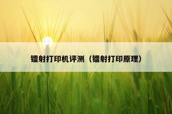 镭射打印机评测（镭射打印原理）