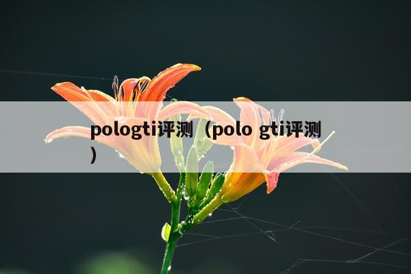 pologti评测（polo gti评测）