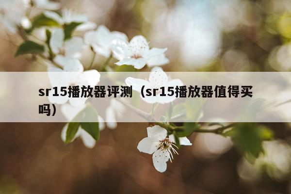 sr15播放器评测（sr15播放器值得买吗）