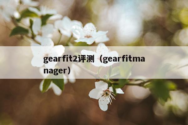gearfit2评测（gearfitmanager）