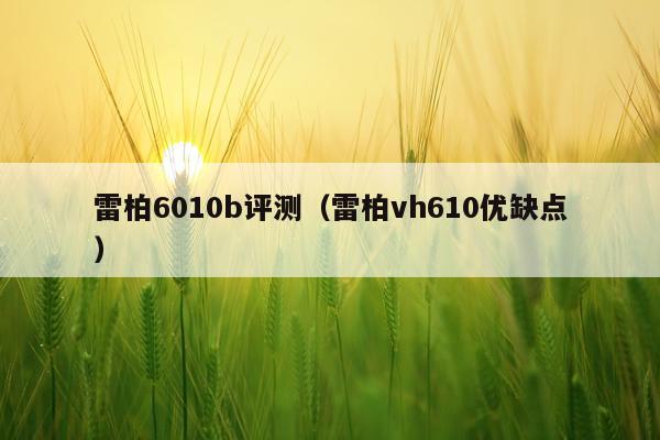 雷柏6010b评测（雷柏vh610优缺点）