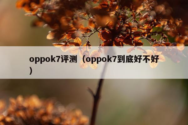 oppok7评测（oppok7到底好不好）