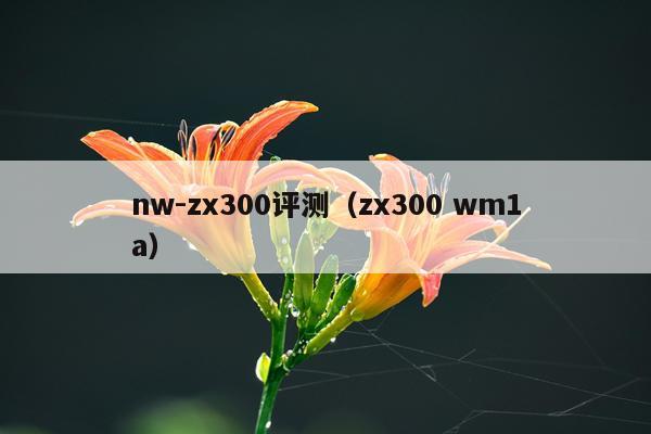 nw-zx300评测（zx300 wm1a）