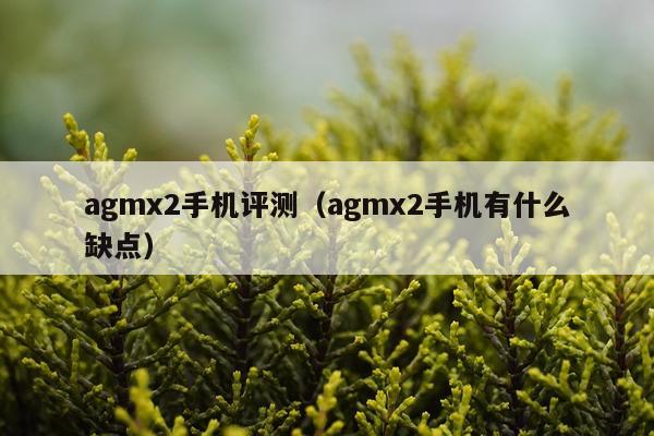 agmx2手机评测（agmx2手机有什么缺点）