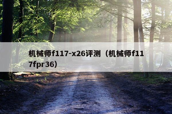 机械师f117-x26评测（机械师f117fpr36）
