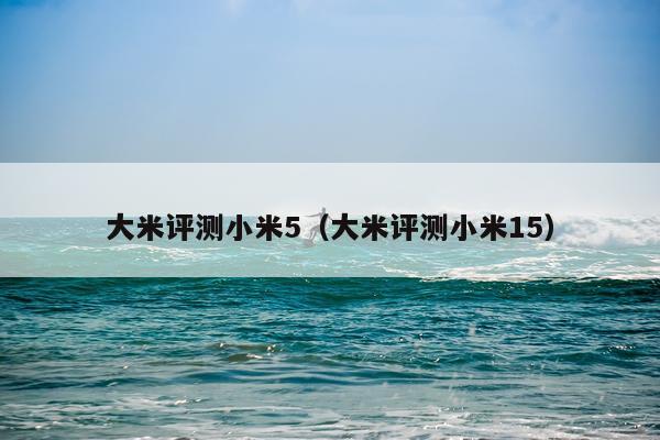 大米评测小米5（大米评测小米15）