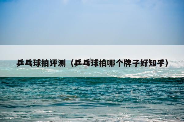 乒乓球拍评测（乒乓球拍哪个牌子好知乎）