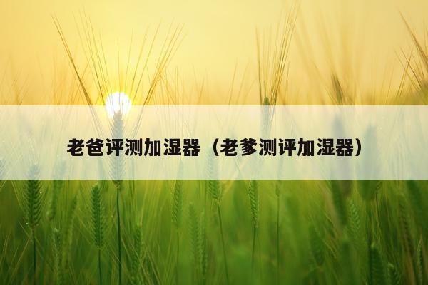 老爸评测加湿器（老爹测评加湿器）