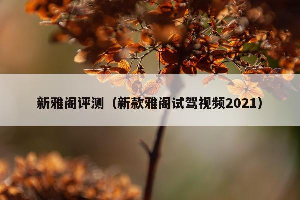 新雅阁评测（新款雅阁试驾视频2021）