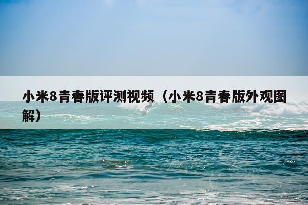 小米8青春版评测视频（小米8青春版外观图解）