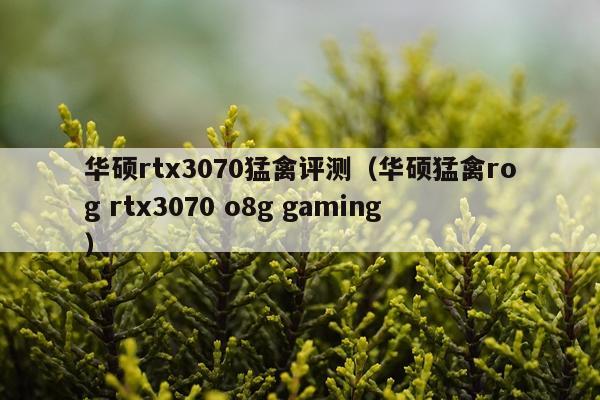 华硕rtx3070猛禽评测（华硕猛禽rog rtx3070 o8g gaming）