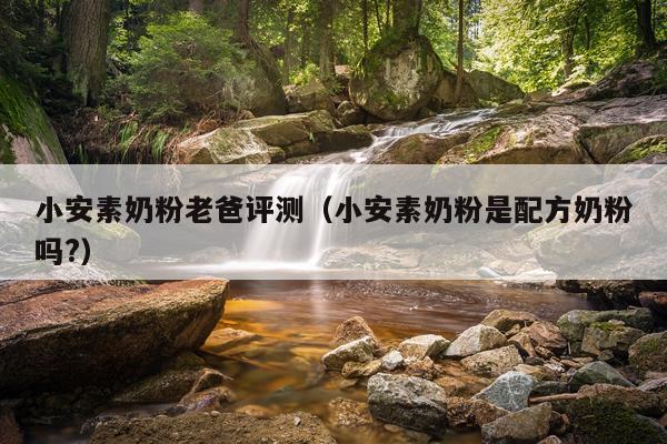 小安素奶粉老爸评测（小安素奶粉是配方奶粉吗?）