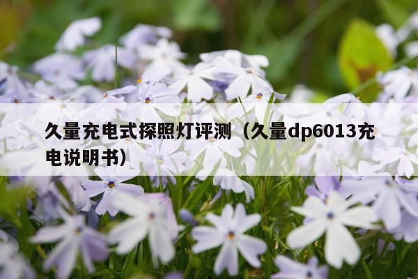 久量充电式探照灯评测（久量dp6013充电说明书）