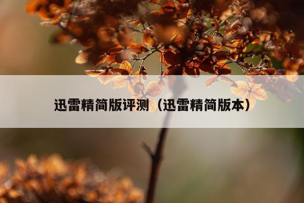 迅雷精简版评测（迅雷精简版本）