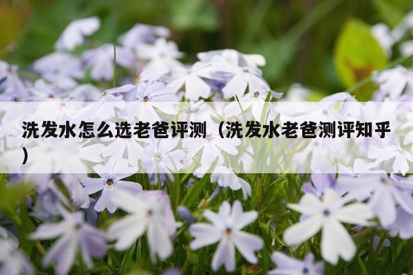 洗发水怎么选老爸评测（洗发水老爸测评知乎）