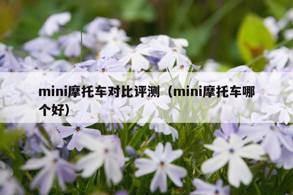 mini摩托车对比评测（mini摩托车哪个好）