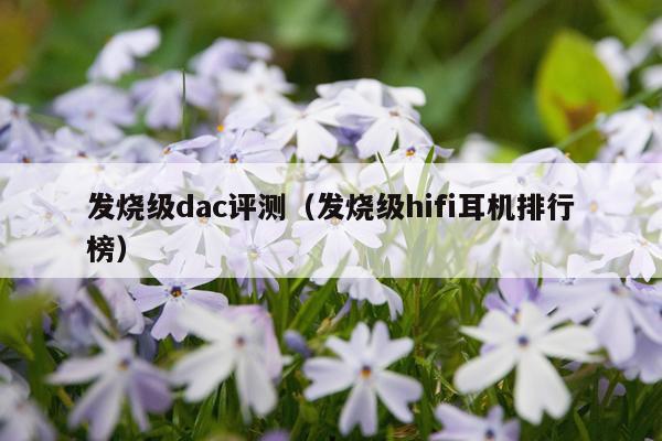 发烧级dac评测（发烧级hifi耳机排行榜）