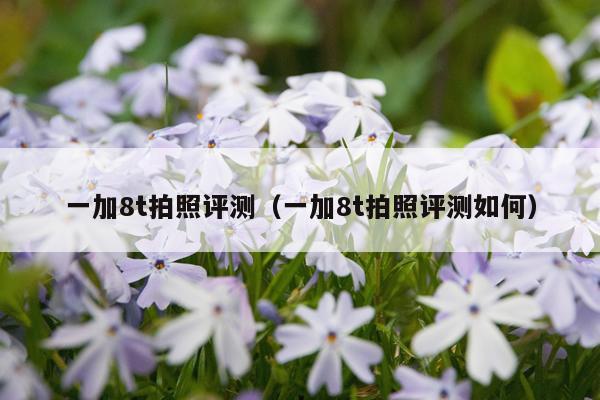 一加8t拍照评测（一加8t拍照评测如何）