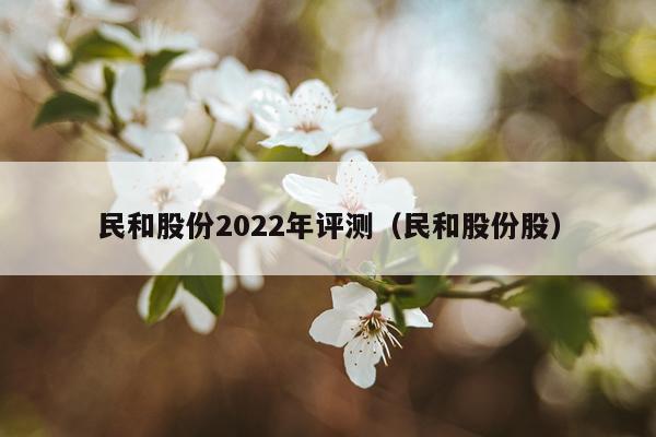 民和股份2022年评测（民和股份股）