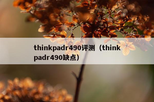 thinkpadr490评测（thinkpadr490缺点）