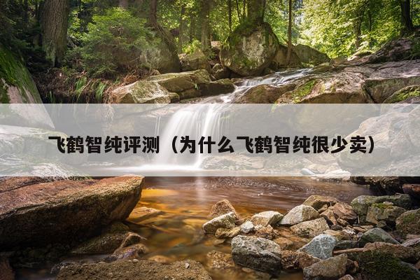 飞鹤智纯评测（为什么飞鹤智纯很少卖）